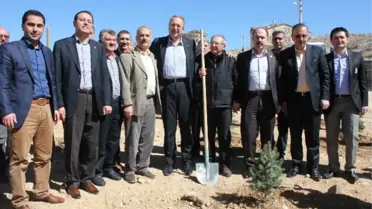 İşiten Fidanlığına İlk Çam Fidanları Milletvekilleri Tarafından Dikildi