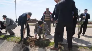 Cizre'de 2 Bin Fidan Toprakla Buluştu