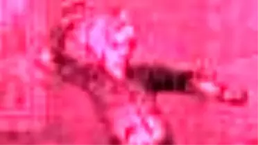 Sultanlar Devrinde Oğlanlar Kitabı