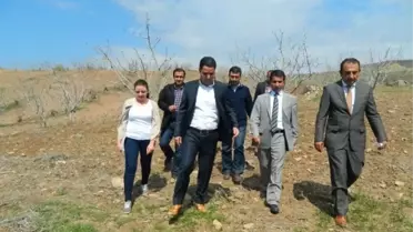 Kozluk'ta Köylülere Fıstık Bahçeleri Yaptırıldı