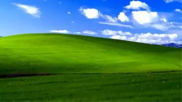 Bliss' Bugün Bu Halde!