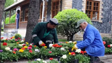 Bağcılar Lalesiyle Güzel