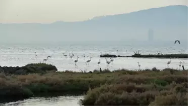 Arıtma Kalitesinde 'İzmir farkı' 4'e Katladık