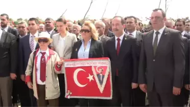 Pamir'in ismi, fidanda yaşayacak -
