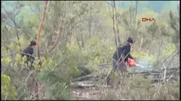Sinop'ta Nükleer Karşıtı Eylem