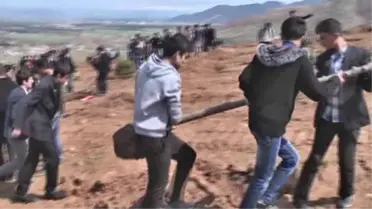 250 öğrenci fidan dikti -