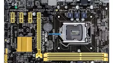 Asus H81m-Plus H81 Ddr3 Sata3 Glan Usb3 1150p 16x