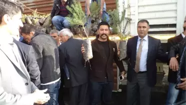Varto Kaymakamlığı Fidan Dağıtımı Yaptı