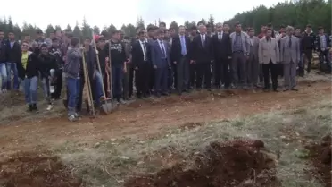 Ormanlar Hayat Bulsun Projesi ile Bin Çam Fidanı Dikildi