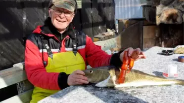 Yakaladığı Balığın Midesinden Vibratör Çıktı