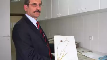 Saü'lü Doç. Dr. Sağıroğlu, Yeni Bir Bitki Türü Keşfetti