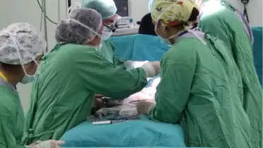 Yapay Kalp Nakli Planlanırken Gerçeği Çıktı
