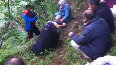 Fındık Bahçesinde Kalp Krizi Geçiren Şahıs Öldü