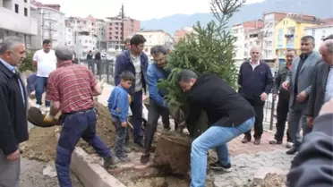 Başkan Hatipoğlu Çam Fidanı Dikti