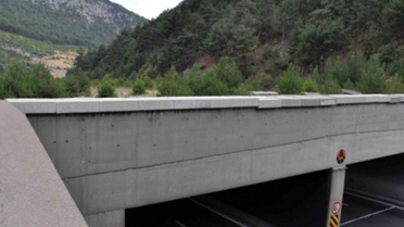 Karayollarına Yaban Hayvanları İçin Ekolojik Köprü Kuruluyor