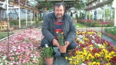 Makine Mühendisi, Başarılı Bir Çiçekçi Oldu