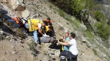 'Çaşur' Toplarken Canından Oldu