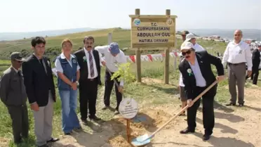 Cumhurbaşkanı Gül Adına 11 Bin Fidan