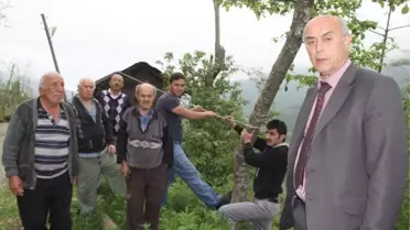 Elektrik Kesintileri Köylüyü Bıktırdı