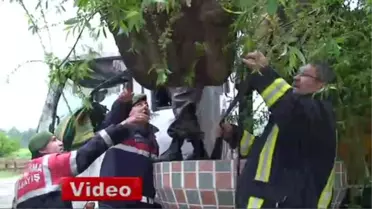 Böyle Kaza Görülmedi!