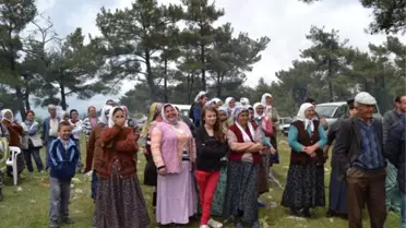 Muğla'da Dağpınar Bahar Şenlikleri Yapıldı