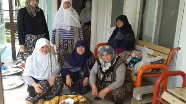 Büyükpaşa Köyünde Kandil Gödeği Dağıttı
