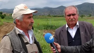 Suları Var Ama Kullanamıyorlar