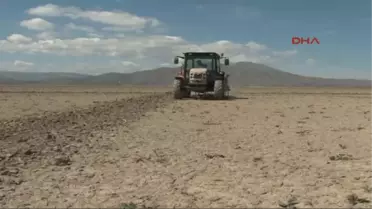 Keban Baraj Gölü'nde 40 Yıl Sonra Çiftçiliğe Başladılar