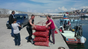 Deniz Salyangozu Balıkçıların İkinci Ekmek Kapısı