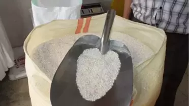 Tosya Pirincine Coğrafi Tescil İşareti Çalışması