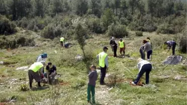 Muradiye'de Gönül Elçileri Fidan Dikti