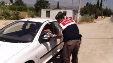 Yalova'dan Kısa Kısa