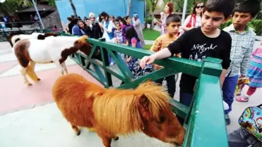 Keçiören Evcil Hayvanlar Parkı Şenlendi