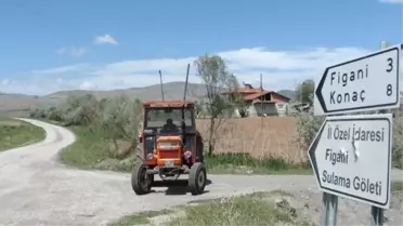 Çorum'da Kuduz Köpek Paniği