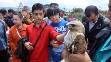 Dünya Göçmen Kuşlar Günü