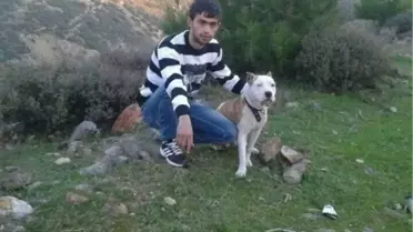 İzmir'de 17 Çocuğu PKK'nın Kaçırdığı İddiası