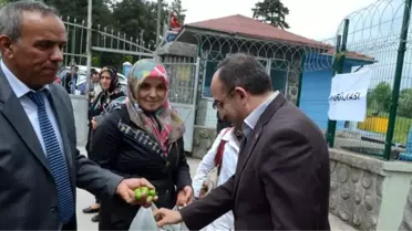 Üzülmez, Ordulular Pikniğinde