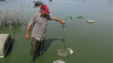 Bafa'da Erken Sinyal