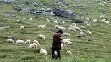 PKK Ağrı'da Çoban Kaçırdı