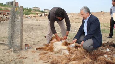 Siirt Battaniyesinin Öyküsü Kayıt Altına Alınıyor
