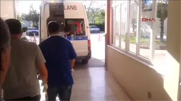 Kenenin Isırdığı Kadın Hastanelik Oldu