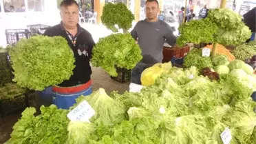 Trakyalı Sebze Üreticilerinin Yüzü Güldü