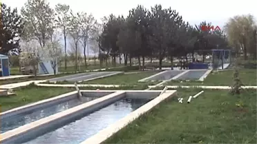 Alabalıklar Dijital Sistemle İzleniyor