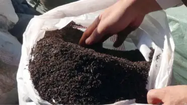 Hakkari'de 18 Ton Kaçak Çay Ele Geçirildi