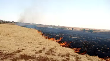 Adıyaman'da Anız Yangını