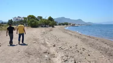 Bodrum Yaza Hazırlanıyor