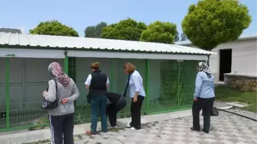 Hayvanseverler Eskişehir Hayvan Barınaklarını İnceledi