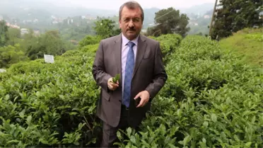 Güneydoğu'ya Türk Çayı İçireceğiz'