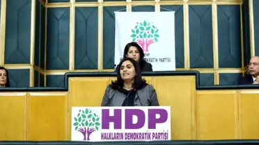 Sebahat Tuncel: Başbakan Siz Söz Vermediniz mi?