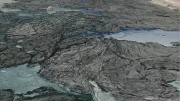 Bafa Gölünde Tehlike Büyüyor